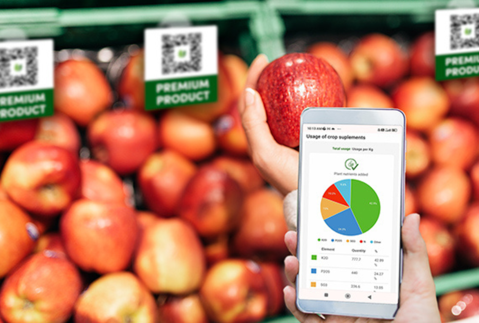 Cómo Crear un Sistema Alimentario Transparente y Seguro con Tecnología AGRIVI Códigos QR BCTS Consulting